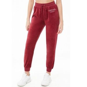 HARVARD velour joggers